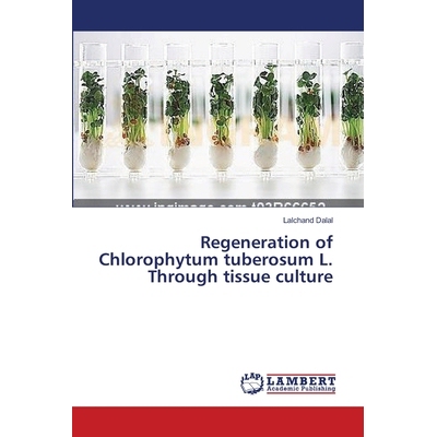 预订 Regeneration of Chlorophytum Tuberosum L: 9783659643750