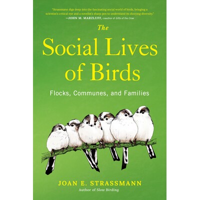Flocks, Communes, and Families