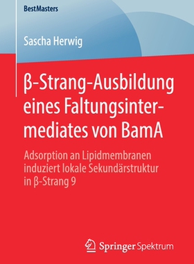 预订 beta-Strang-Ausbildung eines Faltungsintermediates von BamA