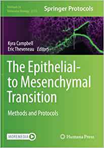 【预订】The Epithelial-to Mesenchymal Transition 9781071607817