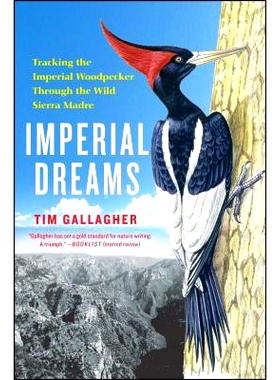 预订 Imperial Dreams: Tracking the Imperial Woodpecker Through the Wild: 9781476734385