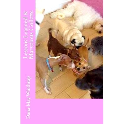 预订 Lessons Learned and Marvelous Collette: 9781512057638