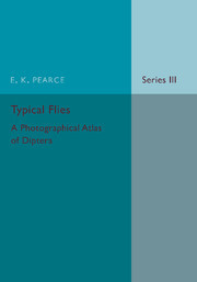 【预订】Typical Flies