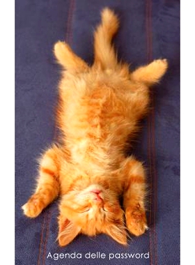 预订 Agenda delle password: Agenda degli indirizzi web e delle password di accesso - Copertina gattino rossiccio che si