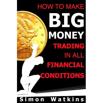 预订 How To Make Big Money Trading In All Financial Conditions: 9781908756534