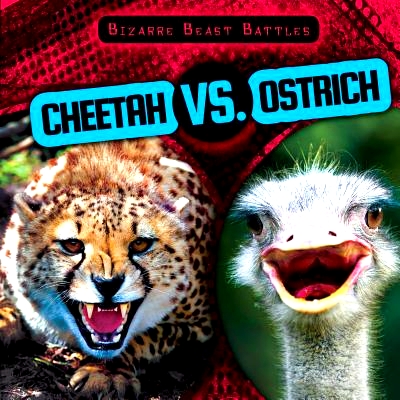预订 Cheetah vs. Ostrich: 9781482427868