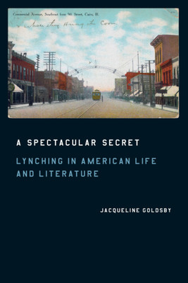【预订】A Spectacular Secret 9780226301372