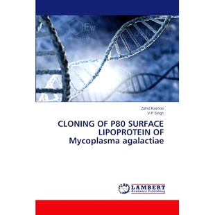 预订 CLONING OF P80 SURFACE LIPOPROTEIN OF Mycoplasma agalactiae 无乳支原体P80表面脂蛋白的克隆: 9786207469826