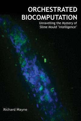 [预订]Orchestrated Biocomputation: Unravelling the Mystery of Slime Mould 