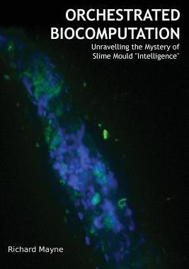 [预订]Orchestrated Biocomputation: Unravelling the Mystery of Slime Mould 