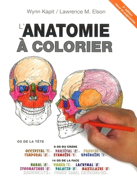 预订 L’anatomie à colorier 从解剖到颜色: 9782224035457
