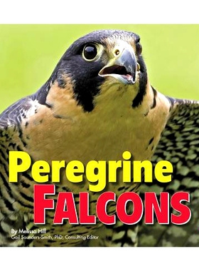 预订 Peregrine Falcons: 9781491423103