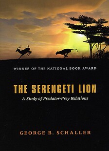 【预售】Serengeti Lion a Study of Predator-Prey Relations