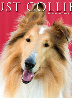 【预订】Just Collies 2022 Wall Calendar (Dog Breed) 9781549217609