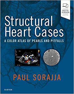 structuralheartcases结构性