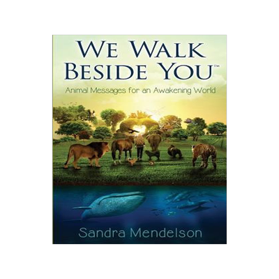 [预订]We Walk Beside You: Animal Messages for an Awakening World 9780999270400