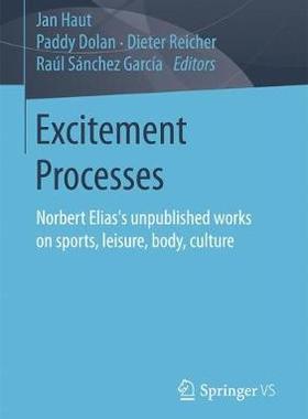 【预订】Excitement Processes