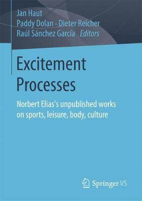 【预订】Excitement Processes