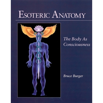 The Body as Consciousness