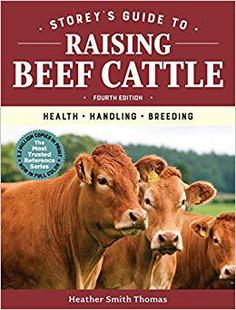 Cattle 预订 Raising 4th Handling Guide Health Storey’s Breeding Edition Beef