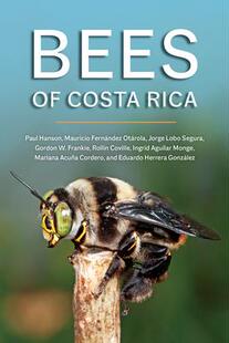 预订 Rica Bees Costa 9781501769061