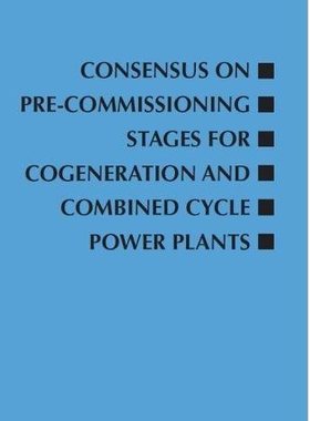 【预售】Consensus on Pre-Commissioning Stages for Cogeneration and Combined Cycle Power Plants