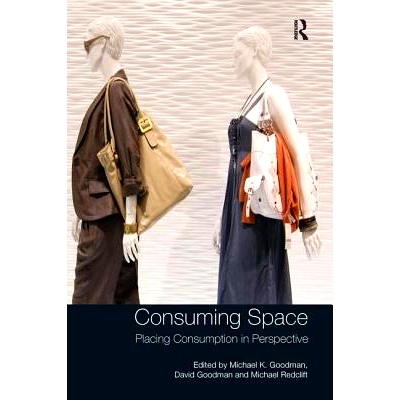 Placing Consumption in Perspective