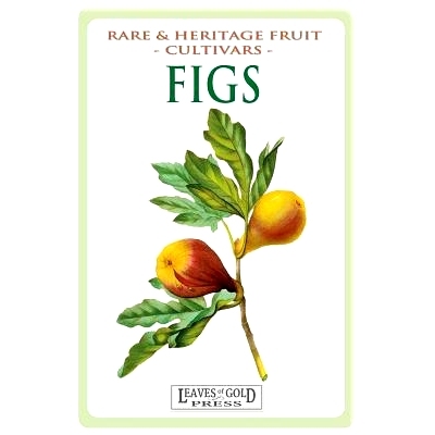 预订 Figs: Rare and Heritage Fruit Cultivars #13: 9781925110128