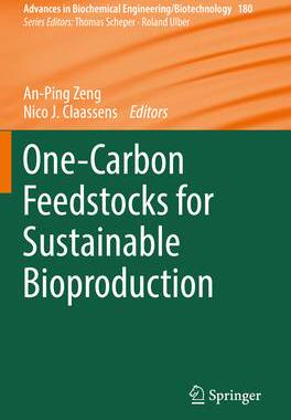[预订]One-Carbon Feedstocks for Sustainable Bioproduction 9783031068560