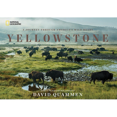 预订 Yellowstone: A Journey Through America’s Wild Heart: 9781426217548