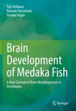 【预订】Brain Development of Medaka Fish 9789811943232