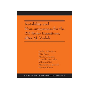 [预订]Instability and Non-uniqueness for the 2D Euler Equations, after M. Vishik 9780691257525