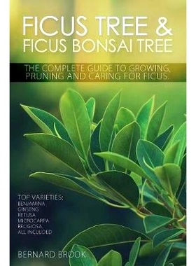 预订 Ficus Tree and Ficus Bonsai Tree. The Complete Guide to Growing, Pruning and Caring for Ficus. Top Varieties: Benja