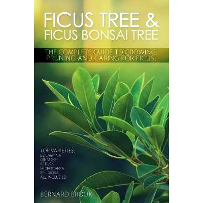 预订 Ficus Tree and Ficus Bonsai Tree. The Complete Guide to Growing, Pruning and Caring for Ficus. Top Varieties: Benja