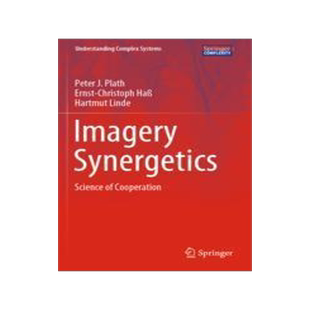 [预订]Imagery Synergetics 9783030977832