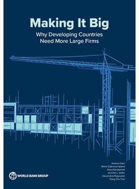 预订 Large Firms in Development: Origins, Growth Paths, and Contributions 发展中的大公司：起源、成长路径和贡献: 97814648