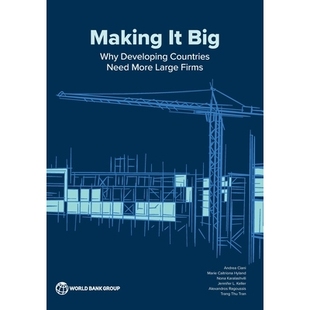 97814648 成长路径和贡献 and Large Firms Contributions Origins Development 大公司：起源 预订 Growth 发展中 Paths