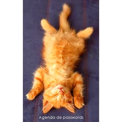 预订 Agenda de Passwords: Agenda Para Enderecos Electronicos E Passwords - Capa Gatinho Ruivo a Relaxar: 9781542901543