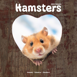 【预订】2023 Hamsters Wall Calendar 9781839418068