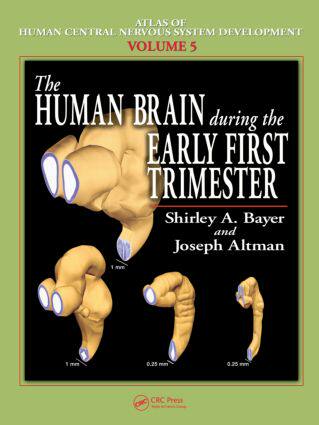 【预售】The Human Brain During the Early First Trimester
