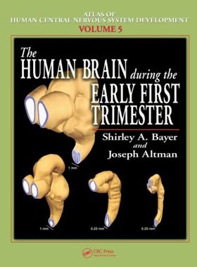 【预售】The Human Brain During the Early First Trimester