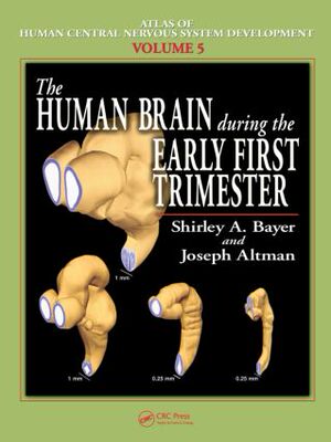 【预售】The Human Brain During the Early First Trimester