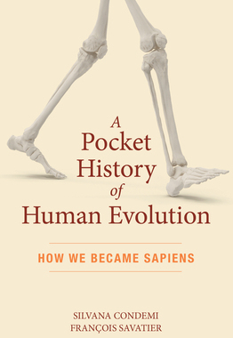 【预订】A Pocket History of Human Evolution: How We Became Sapiens