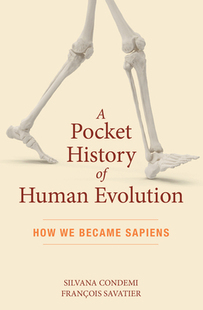 Sapiens Pocket Human Evolution History Became How 预订