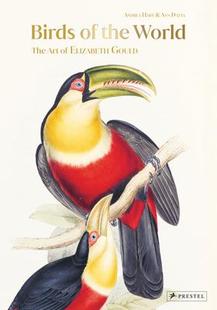 The 9783791379876 Birds Gould Elizabeth Art World the 预订