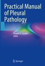 [预订]Practical Manual of Pleural Pathology 9783031203114