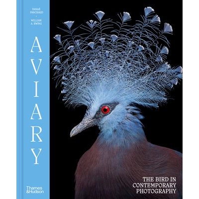 预订 Aviary: The Bird in Contemporary Photography: 9780500029084
