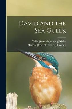 [预订]David and the Sea Gulls; 9781013647086