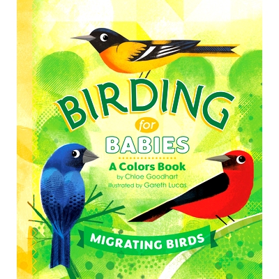 预订 Birding for Babies: Migrating Birds: A Colors Book 婴儿观鸟：候鸟：一本色彩书: 9780593386965