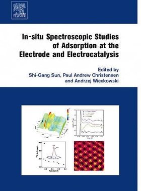 【预订】In-situ Spectroscopic Studies of Adsorption at the Electrode and Electrocatalysis